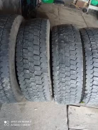 ���� NF-101. �����������, 2019 ���, �/�, ����� 70 % ����