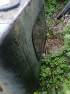 ��� 469 ����