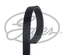 ������ ������������ Gates 5PK1260, (������� 5PK1260ES) Gates ���. 5PK1260HD (8542-20007) 5PK1260HD ����