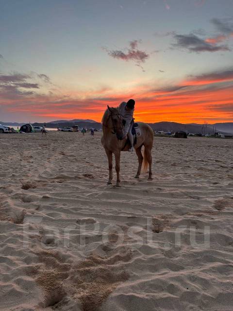 Конные прогулки в Уссурийске