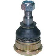 ������� ����� Hyundai Accent 1994 2000 Birth ���. CX0034 CX0034 ����
