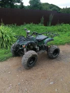 Yamaha Grizzly 125. ��������, ��� ���\���, �� ����