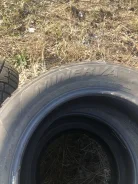 Minerva Eco Stud SUV. ������, ����������, �/�, ����� 30 % ����