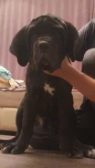 ������. ����