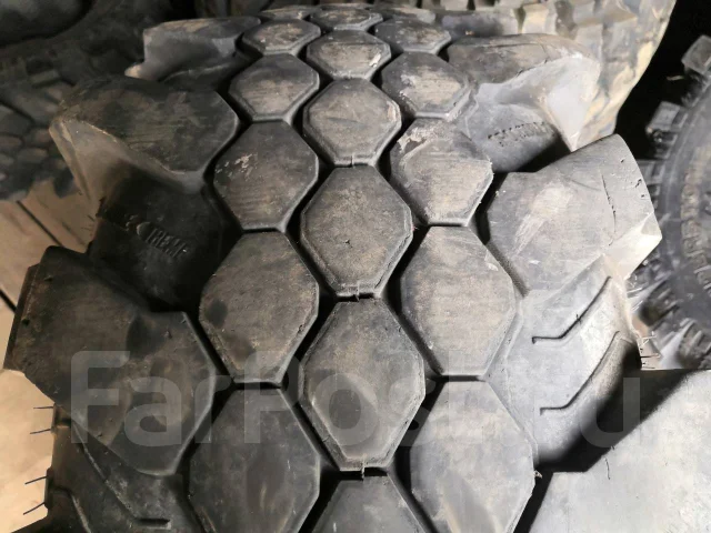 Superstone Crocodile Xtreme. ����� mt, 2012 ���, �/�, ����� 60 % ����