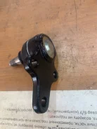 ����� ������� 4333039295 4333039295 ����