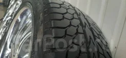 Lexani. ������, 2020 ���, �/�, ����� 5 % ����