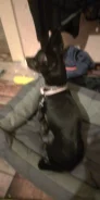 ���-������. ����