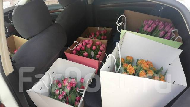 Срочно! Курьер (от 300р заказ, свободный график, штрафов нет!), работа ...