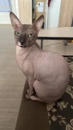 ������. ����