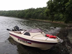 Yamaha Fish 15. 1989 ���, ����� 4,5��., ��������� ���������, 40��.�., ������ ����