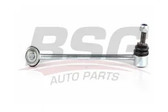 ���� ������������� bsg15310079 BSG BSG15310079 ����