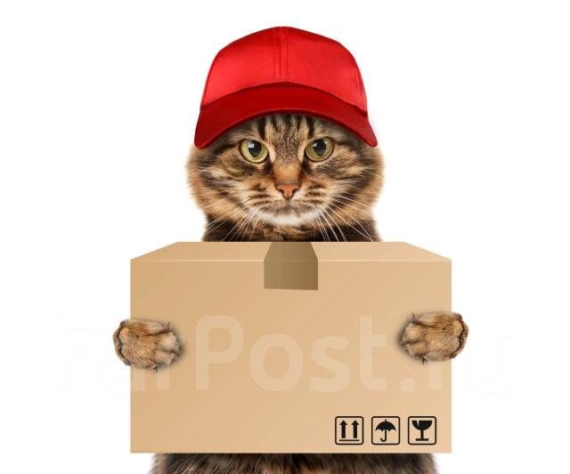 Курьер пеший или авто (СВОБОДНЫЙ ГРАФИК, ЕЖЕДНЕВНАЯ ОПЛАТА), работа в ...