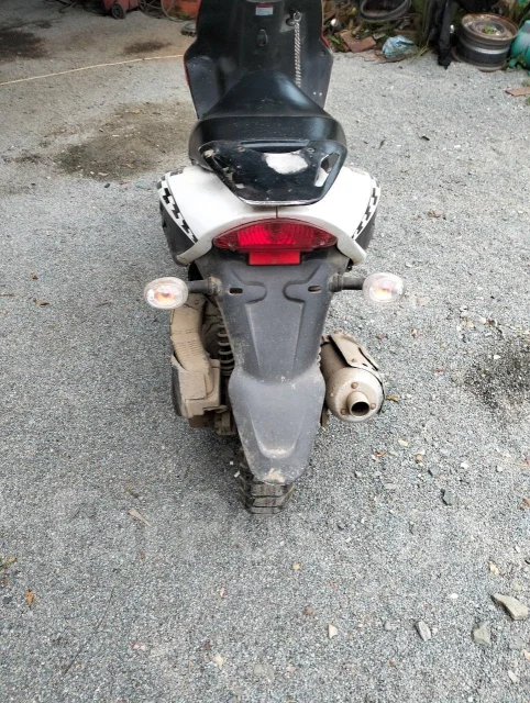 Irbis GS 150. 150����. ��., ��������, ��� ���, ������ �� �� ����
