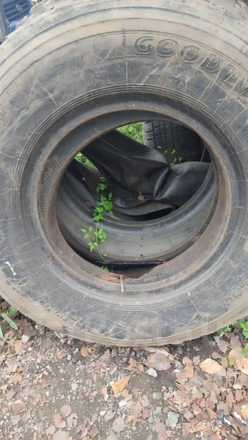 Goodtyre. ������, �/�, ����� 50 % ����