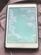 Apple iPad Mini. 7.9 ������, ������ 16 �� ����