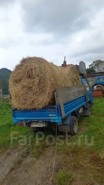 ����. ����