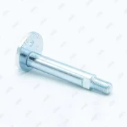 ���� � ������������ (��������� 1 ��) BB23009 BB23009 ����