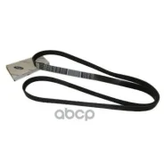 ������ ���������/BELT FORD ���. 1049613 1049613 ����