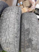 Bridgestone Winter Dueler DM-Z2. ������, ��� �����, �/�, ����� 30 % ����