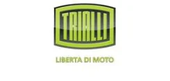 ������� ����. ��� �/� Nissan Pathfinder (05-) (�������) (CF 949) Trialli CF949 CF949 ����