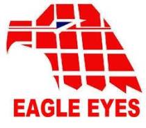 ������ ������ Toyota Land Cruiser Prado (J120) 02-09 (�����/ ��������) Eagle EYES PFEE21219G5RD1 PFEE21219G5RD1 ����