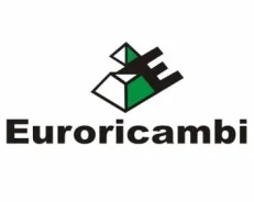 ������ ��������������! ���������� MAN, RVI, Volvo ZF S6-85/16S-150 Euroricambi 95570219 95570219 ����