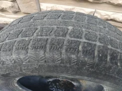 Presa PI02. ������, ��� �����, �/�, ����� 60 % ����