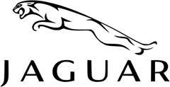 ������� ������ ����� Jaguar X-TYPE Jaguar C2S48014 - C2S48014 ����