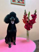 ������. ����