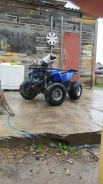 Grizzly Aerox. ��������, ��� ���\���, �� ����