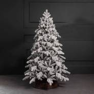 ���� �������������. ����