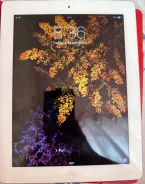 Apple iPad 3. 7.9 ������, ������ 32 �� ����