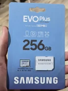 ����� ������. 256��� ����