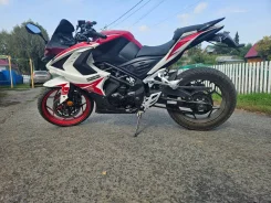 Racer Storm. 270����. ��., ��������, ���������, ������ �� �� ����