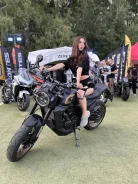 Zontes ZT350-GK. 348����. ��., ��������, ���������, ��� ������� ����