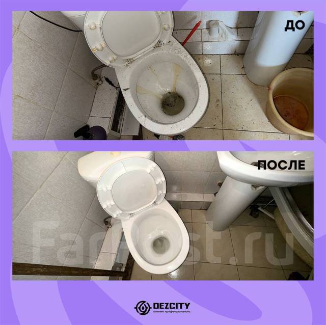 ������ ����� �������. ����