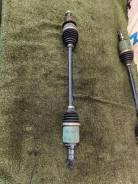 ������ �������� ����� ����