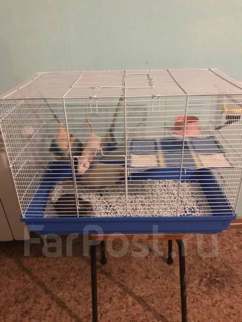 Клетка для грызунов, в наличии. Цена: 1 500₽ во Владивостоке