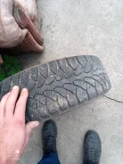 Cordiant Winter Drive. ������, ����������, 2021 ���, �/�, ����� 20 % ����
