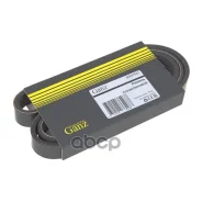 ������ ������������ 6PK1195 PSA/Renault/Nissan/MB/Volvo GANZ ���. GIE37621 GIE37621 ����