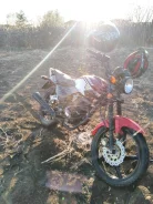 Racer Tiger RC150-23. 150����. ��., ��������, ���������, ������ �� �� ����