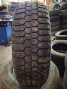Bridgestone Winter Radial WT-14. ������, ����������, �/�, ����� 10 % ����