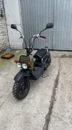 Honda Zoomer. 50����. ��., ��������, ��� ���, ������ �� �� ����