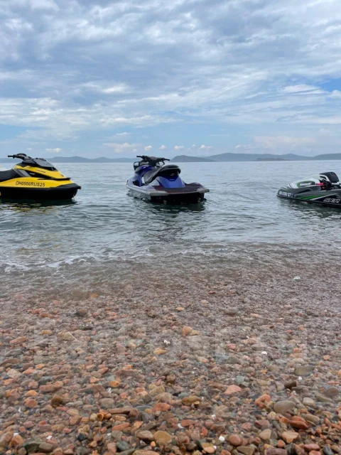 Yamaha FX Cruiser SHO. 2008 ��� ����