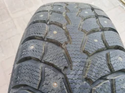 Evergreen IceTour i3. ������, ����������, 2022 ���, �/�, ����� 5 % ����