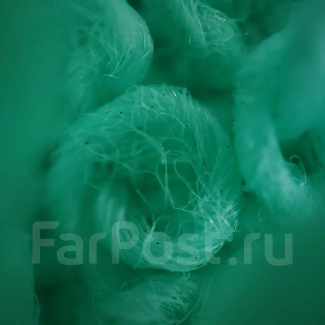 OPPO. �/�, 128 ��, ����� ����