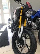 Cobra. 250����. ��., ��������, ���������, ��� ������� ����