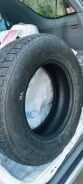 Triangle TR777. ������, ��� �����, 2022 ���, �����. �������� ������� ����