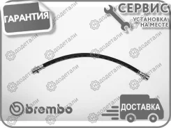 ����� ���������, ������ ����� � ��������� � ��������� [T28107] T28107 ����